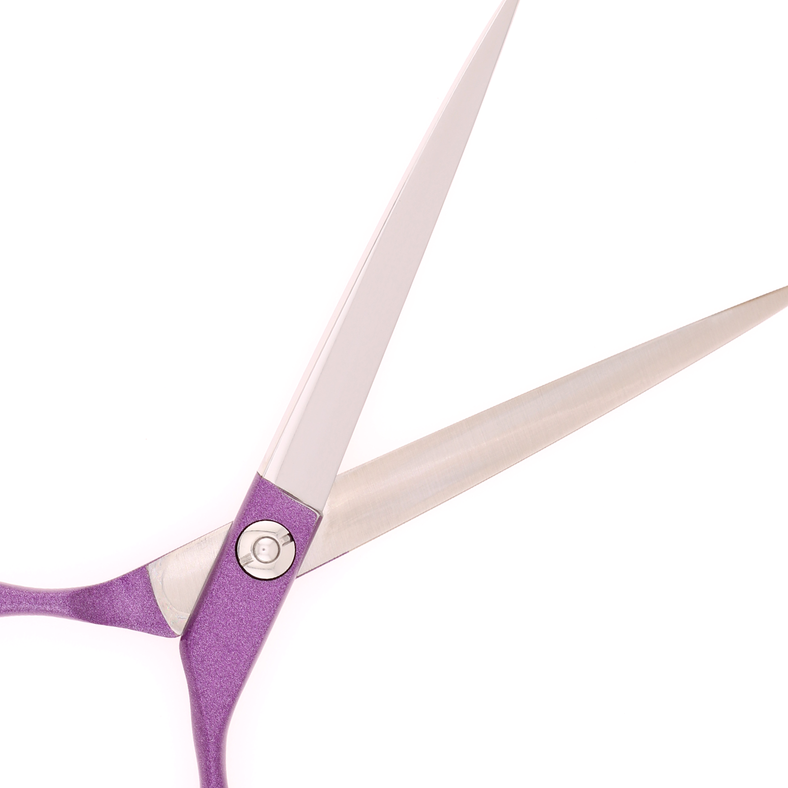 Titan Shears - Straight Purple Aluminum 440C Convex RH STR 6.5" image 3